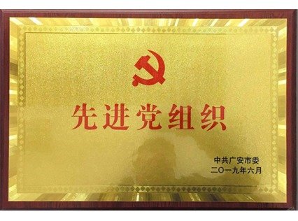 y1体育注册赠送官网